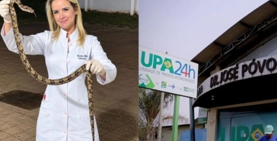 Mulher é picada por jararacuçu em Rio Verde, captura a serpente e a leva ao hospital