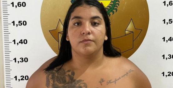 Golpista em série: Mulher é presa por suspeita de aplicar mais de 20 fraudes nas redes sociais, em Rio Verde