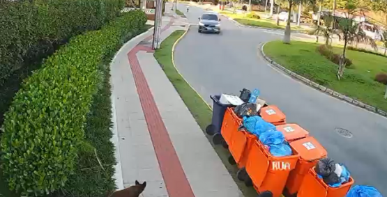 Defesa divulga vídeo e contesta versão da polícia no Caso Orelha, em Florianópolis