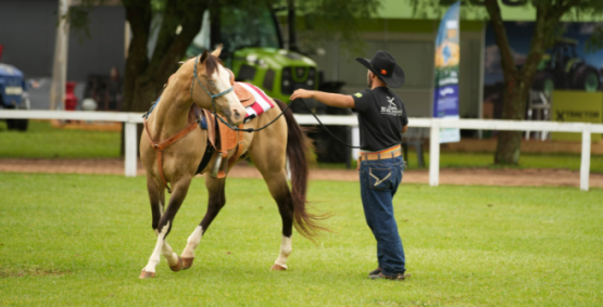 Pecuária na Tecnoshow 2026 une inovação, prática no campo e tradição rural