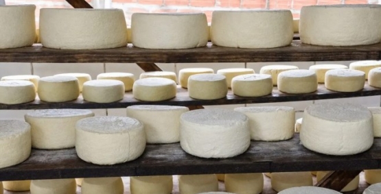 Queijo cabacinha: tradição de origem italiana com 80 anos de história em cinco cidades de Goiás