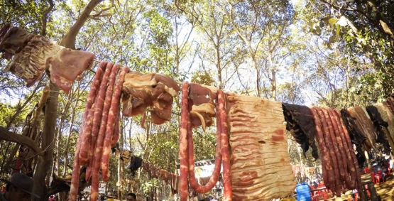Queima do Alho movimenta Rio Verde neste sábado com tradição tropeira, gastronomia e música sertaneja
