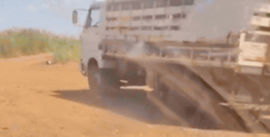 Batalhão Rural recupera gado furtado após ação na zona rural de Rio Verde