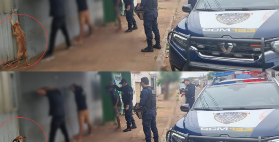 Cena curiosa em Rio Verde de caramelo imitando suspeitos em abordagem é real?