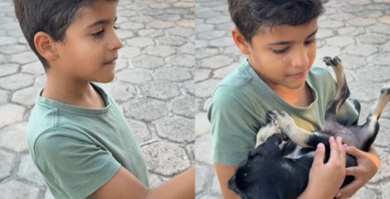 Menino convence mãe a adotar cachorrinha que ninguém quis em feira