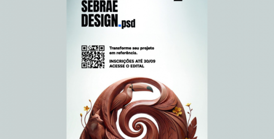 Prêmio Sebrae de Design vai reconhecer projetos que fortaleceram pequenos negócios; veja como participar