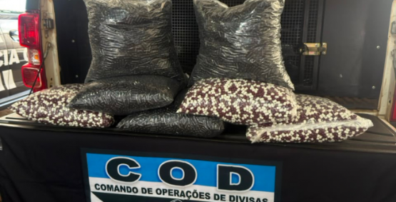 COD apreende 35 mil cápsulas de medicamentos sem identificação em Rio Verde