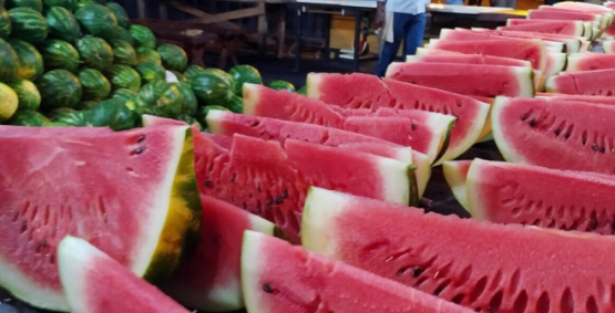 Tradicional Festa da Melancia começa nesta sexta-feira em Lagoa do Bauzinho
