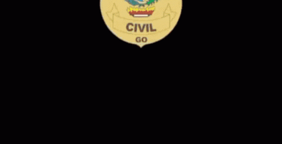 Polícia Civil prende 12 pessoas na Operação Espectro contra o tráfico de drogas em São Simão