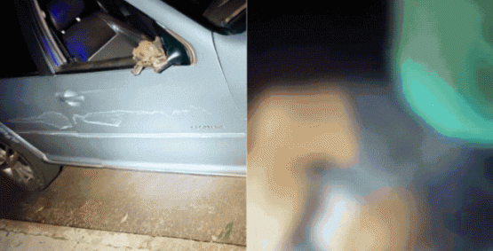 GCM prende mulher embriagada após atropelar criança e fugir sem prestar socorro