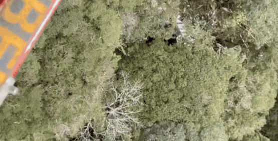 Vídeo mostra local onde helicóptero com cantor Rick foi encontrado em meio à mata; não há sobreviventes