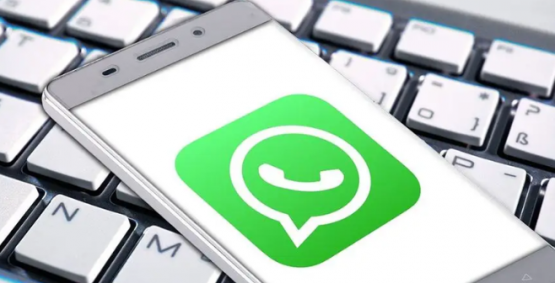WhatsApp da fiscalização do Procon de Rio Verde é hackeado; Prefeitura alerta para golpe