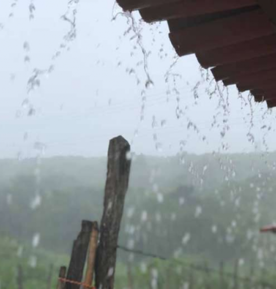 Rio Verde e cidades do sudoeste tem alerta de chuvas com ventos de até 60 km nesta terça (29)