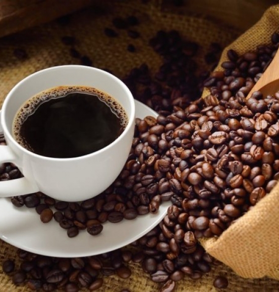 Exportações brasileiras de café registram o segundo maior início de safra desde 1990