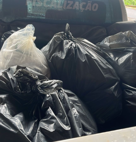 Fiscalização do Procon apreende alimentos impróprios em delivery de comida japonesa em Rio Verde