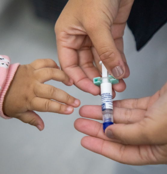 Goiás recebe mais de 25 mil doses de vacina para ampliar proteção infantil contra meningite e pneumonia
