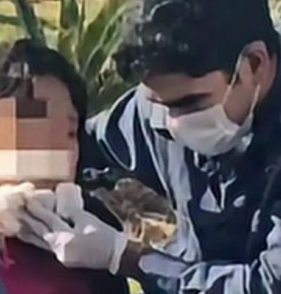Ambulante autista é baleada no rosto em frente à rodoviária de Goiânia; suspeito morre após confronto com a PM
