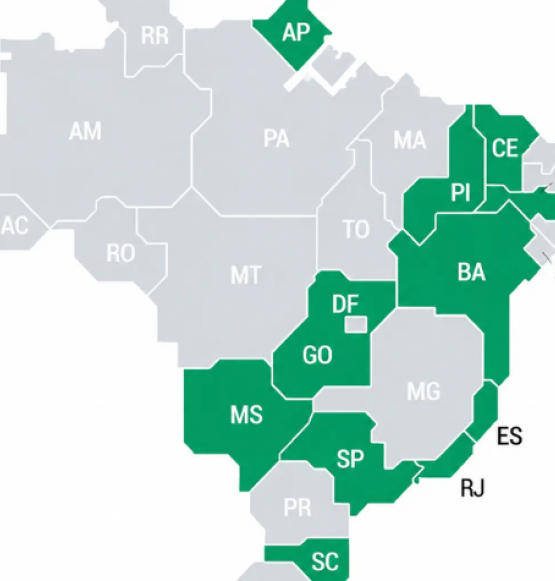 Levantamento aponta Goiás entre estados com chance de decisão no primeiro turno
