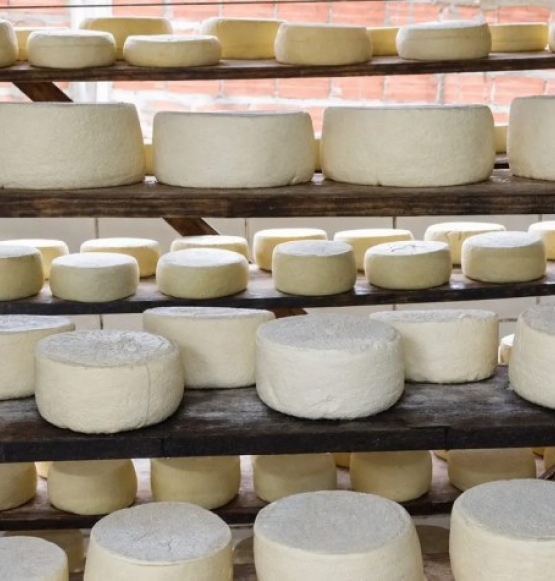 Queijo cabacinha: tradição de origem italiana com 80 anos de história em cinco cidades de Goiás