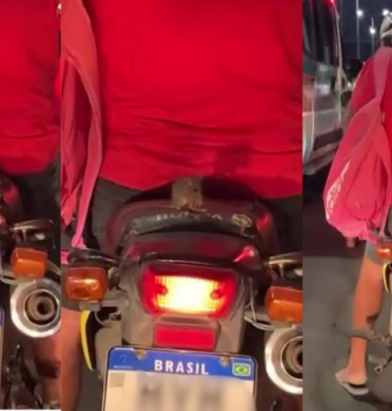 Rato vira passageiro inesperado e chama atenção em moto no trânsito do Ceará