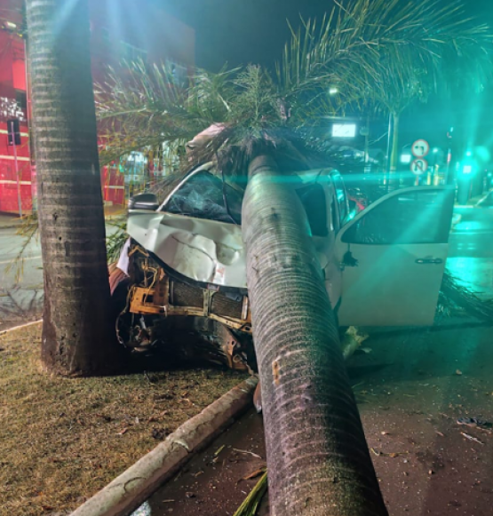 Caminhonete atinge coqueiro e árvore é arrancada após acidente na Avenida Presidente Vargas, em Rio Verde
