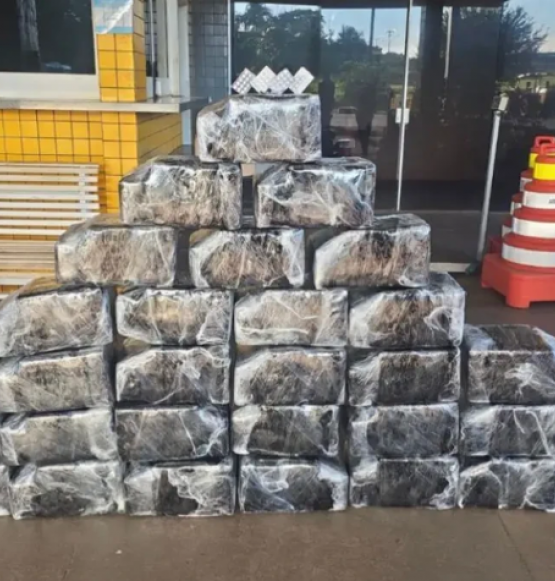 PRF intercepta caminhão com 352 kg de cocaína e carga teria como destino Rio Verde