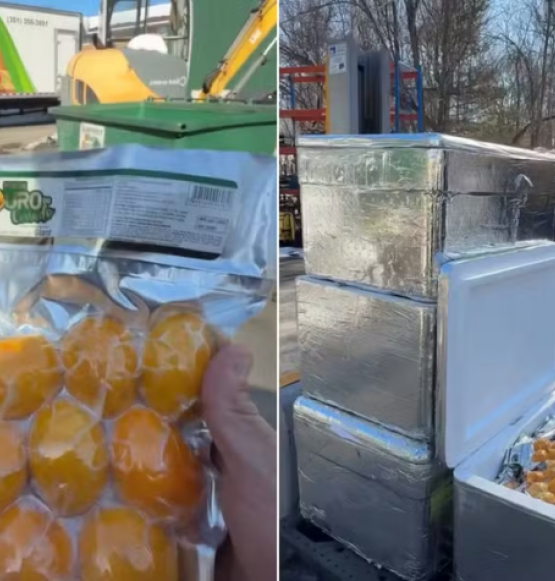 Goiano faz sucesso nos Estados Unidos vendendo pequi