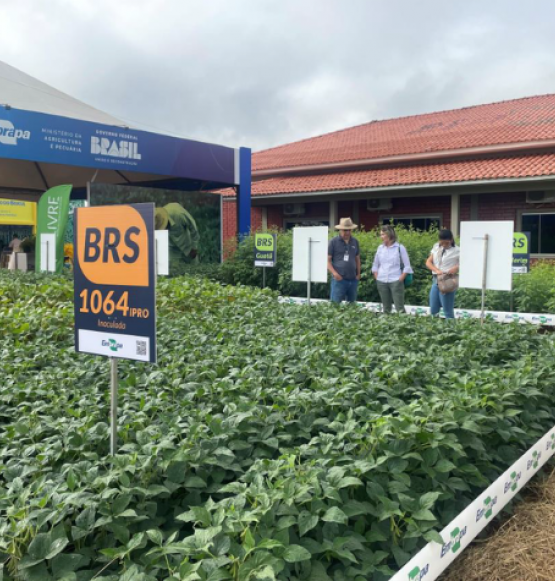 Ciência e inovação impulsionam o agro na Tecnoshow COMIGO 2026 em Rio Verde