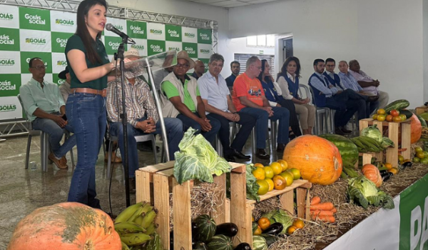 1º Encontro da Agricultura Familiar é realizado para debater desafios do setor