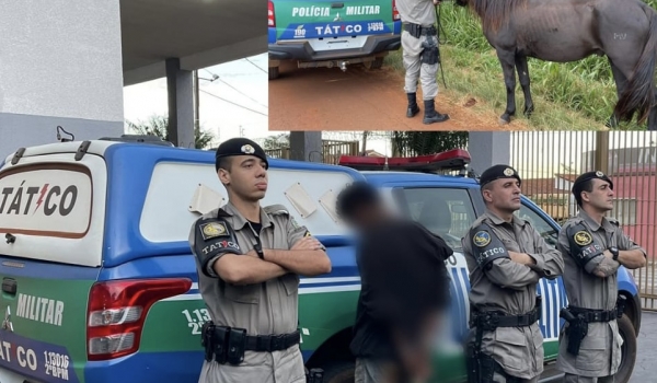 Polícia recupera cavalo furtado do Clube Dona Gercina
