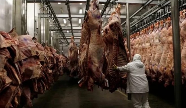 Pecuária de Goiás entra em alerta após tarifa de 55% anunciada pela China