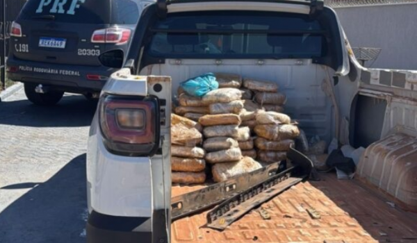 Ação conjunta apreende 90 kg de supermaconha na BR-060 em Indiara