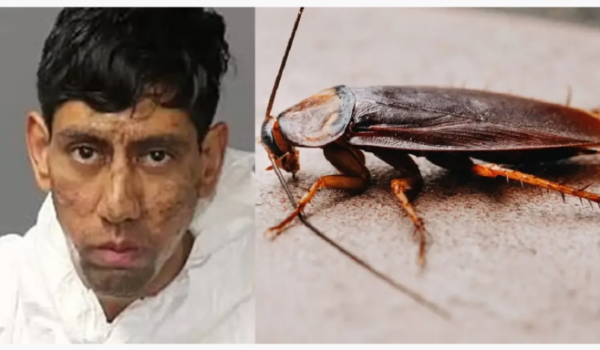 Acusado de duplo homicídio afirma ter recebido 