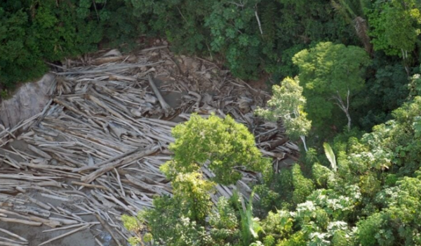 Amazônia perdeu 52 milhões de hectares de vegetação em 40 anos, aponta MapBiomas