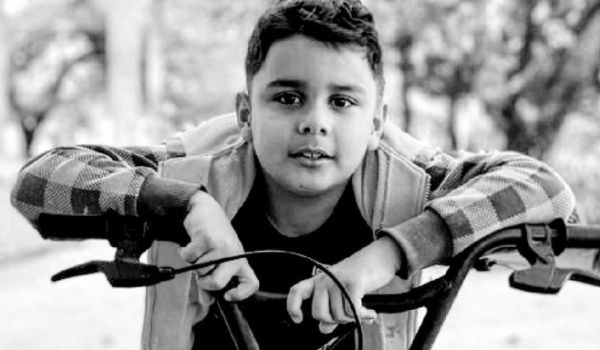 Menino atacado por enxame de abelhas em Catalão morre após 10 dias internado