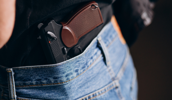 A LIBERDADE ARMADA  UMA ANÁLISE CRÍTICA DOS PROJETOS DE LEI EM TRAMITAÇÃO NA CÂMARA FEDERAL