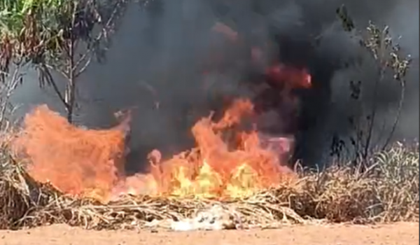Foco de incêndio em mata do Residencial Atalaia é registrado em Rio Verde