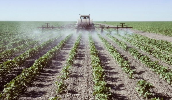 Bloqueio em rota de Belarus impede exportação de fertilizantes ao Brasil