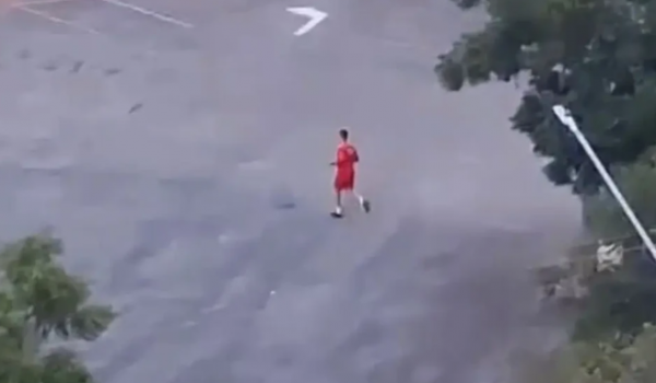 Bombeiro mata cachorro a tiros e caso gera repercussão em Goiânia; Bombeiros emitem nota