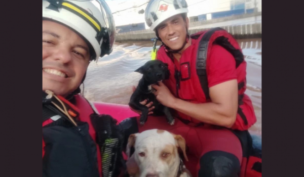 Bombeiros de Goiás ajudam no resgate a vítimas e animais em enchente no RS 