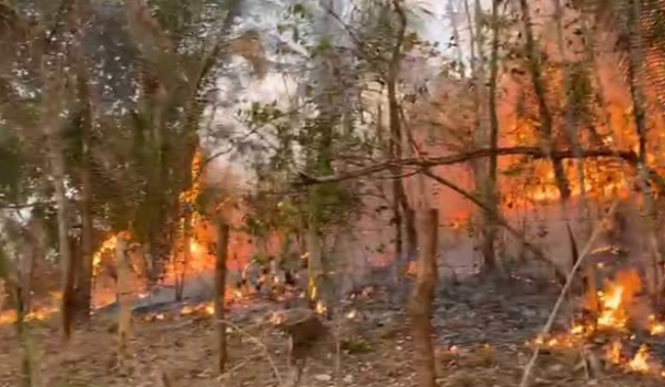 Bombeiros seguem em ação contra incêndio que já atingiu 27 mil hectares na Chapada dos Veadeiros