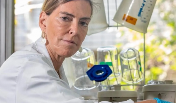 Brasileira desafia a medicina e faz tetraplégicos voltarem a andar após quase 30 anos de pesquisa; saiba quem é