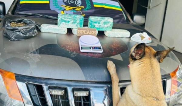 Cães farejadores encontram quase 6 kg de drogas escondidos em casa no Jardim América, em Rio Verde