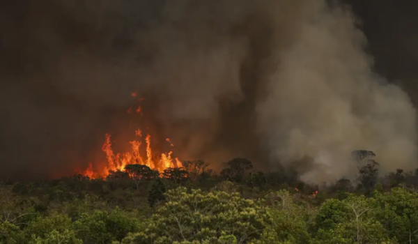 Câmara aprova aumento de pena para crimes de incêndio florestais