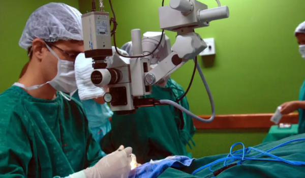Câncer de intestino, que vitimou Preta Gil, é o 3º mais comum no país
