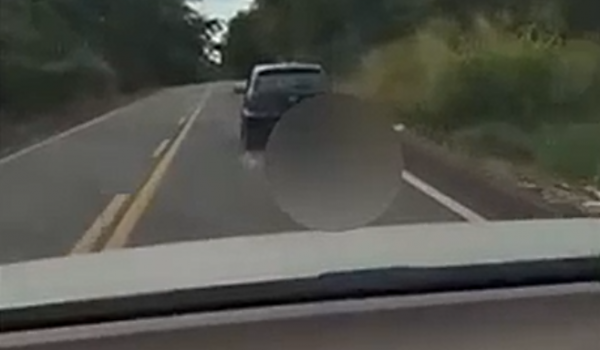 Cachorro é arrastado por carro na GO-154 e caso gera revolta; PC investiga possível crime