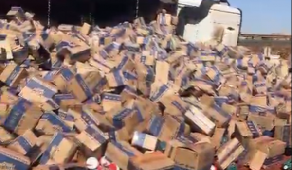 Caminhão carregado com produtos de limpeza tomba na BR-364, em Jataí após motorista tentar evitar colisão