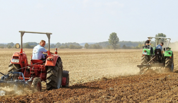 Agropecuária impulsiona geração de empregos formais em Goiás no primeiro semestre de 2025