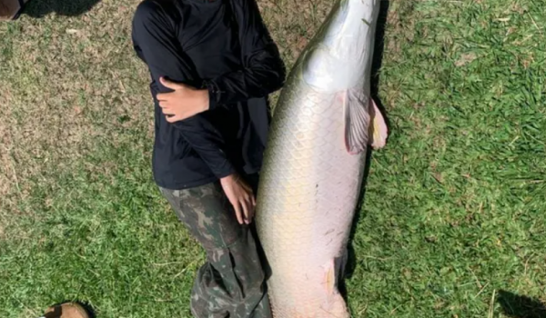 Adolescente de 13 anos pesca pirarucu quase do tamanho dele em Itauçu