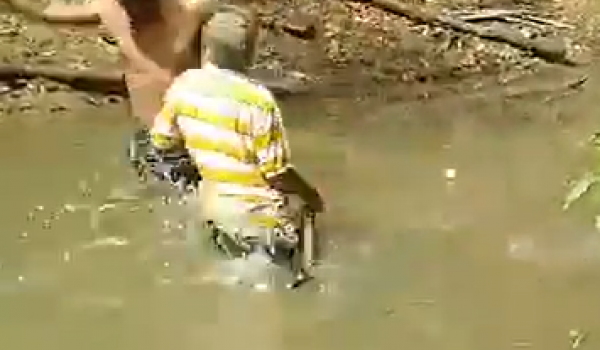 Vídeo: pescador pega em peixe elétrico e cai paralisado com o choque